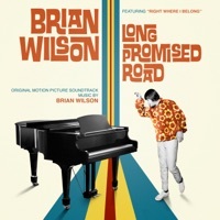 Thumbnail for the Brian Wilson - Right Where I Belong (Single from "Brian Wilson: Long Promised Road Soundtrack") link, provided by host site