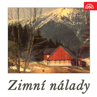 Thumbnail for the Miroslav Paleček - Říkejte mi sníh link, provided by host site