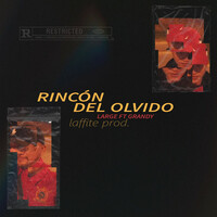 Thumbnail for the Large - Rincón del Olvido link, provided by host site