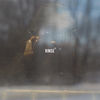Thumbnail for the Ant Live - Rinse link, provided by host site