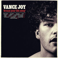 Thumbnail for the Vance Joy - Riptide link, provided by host site