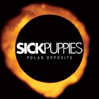 Thumbnail for the Sick Puppies - Riptide (Unplugged) link, provided by host site