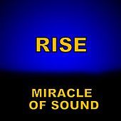 Thumbnail for the Miracle of Sound - Rise link, provided by host site