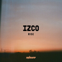 Image of IZCO linking to their artist page due to link from them being at the top of the main table on this page