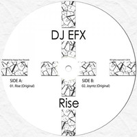 Thumbnail for the DJ Efx - Rise link, provided by host site