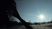 Thumbnail for the Aaron - Rise (Clip) link, provided by host site