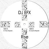 Thumbnail for the DJ Efx - Rise link, provided by host site