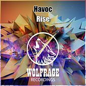 Image of Havoc linking to their artist page due to link from them being at the top of the main table on this page