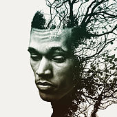 Thumbnail for the Trip Lee - Rise link, provided by host site