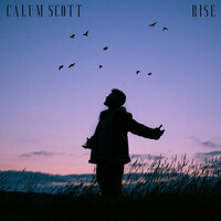 Thumbnail for the Calum Scott - Rise link, provided by host site