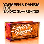 Thumbnail for the Danism - Rise (Sandro Silva Remixes) link, provided by host site