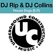 Thumbnail for the DJ RIP - Rise Tha Roof (Rip Mix) link, provided by host site