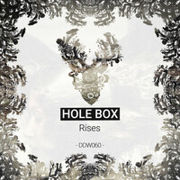 Image of Hole Box linking to their artist page due to link from them being at the top of the main table on this page