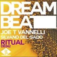 Thumbnail for the Joe T. Vannelli - Ritual link, provided by host site