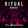 Thumbnail for the Tiësto - Ritual (SWACQ Remix) link, provided by host site
