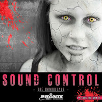 Thumbnail for the Technodrome - Rizla - Sound Control Remix link, provided by host site