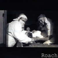 Thumbnail for the Roach - Roach link, provided by host site