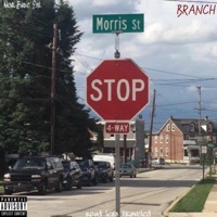 Thumbnail for the Branch - Road Less Traveled link, provided by host site