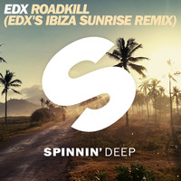Thumbnail for the EDX - Roadkill (EDX Radio Mix) link, provided by host site