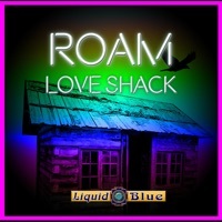 Thumbnail for the Liquid Blue - Roam link, provided by host site