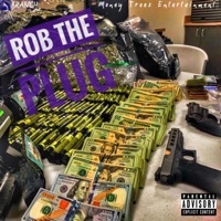 Thumbnail for the Branch - Rob the Plug link, provided by host site