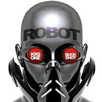 Thumbnail for the KRS-One - Robot link, provided by host site