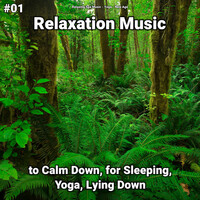 Thumbnail for the Relaxing Spa Music - Rock link, provided by host site