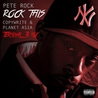 Thumbnail for the Pete Rock - Rock This (Terminal 3 Mix) link, provided by host site