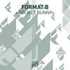 Thumbnail for the Format:B - Rocket Bunny link, provided by host site