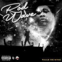 Thumbnail for the Wallie the Sensei - Rod Wave link, provided by host site
