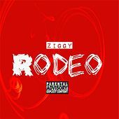 Thumbnail for the Ziggy - Rodeo link, provided by host site