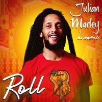 Thumbnail for the Julian Marley - Roll link, provided by host site