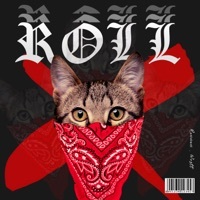 Thumbnail for the Rennan - Roll link, provided by host site