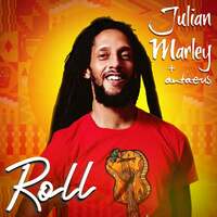 Image of Julian Marley linking to their artist page due to link from them being at the top of the main table on this page