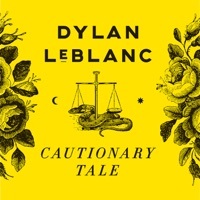 Thumbnail for the Dylan LeBlanc - Roll the Dice link, provided by host site