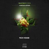 Thumbnail for the Fractious - Roll the Dice link, provided by host site