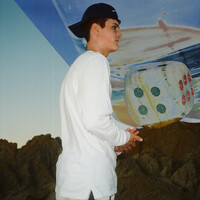 Thumbnail for the Arden Jones - roll the dice link, provided by host site