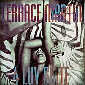 Thumbnail for the Terrace Martin - Roll The Dice link, provided by host site