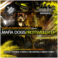 Thumbnail for the DJ Alpha - Rollin Loose - Syanide Remix link, provided by host site