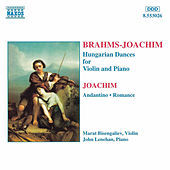 Thumbnail for the Joseph Joachim - Romance in B Flat Major link, provided by host site