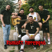 Thumbnail for the Ginoka - Romlott hercegnő link, provided by host site