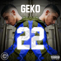 Thumbnail for the Geko - Ronaldo link, provided by host site