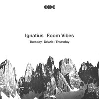 Thumbnail for the Ignatius - Room Vibes link, provided by host site