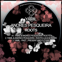 Thumbnail for the Yamil - Roots link, provided by host site