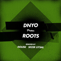 Thumbnail for the DNYO - Roots link, provided by host site