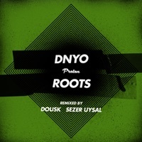 Image of DNYO linking to their artist page due to link from them being at the top of the main table on this page