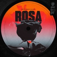 Thumbnail for the Andruss - Rosa link, provided by host site