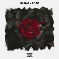 Thumbnail for the Slang - Rose link, provided by host site