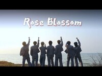 Thumbnail for the Rosé - ROSE BLOSSOM - What would you say to yourself in the glow of the sunrise by the sea? link, provided by host site