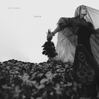 Image of ASH ISLAND linking to their artist page due to link from them being at the top of the main table on this page